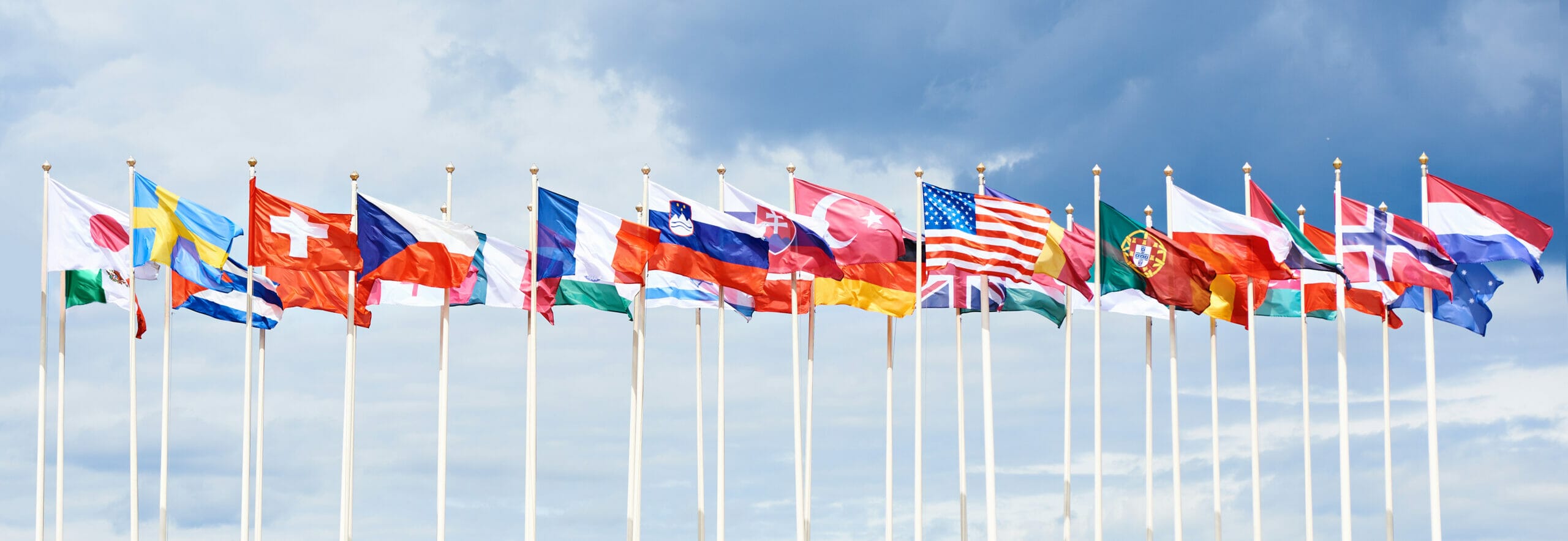 Immigrants' country of origin. 