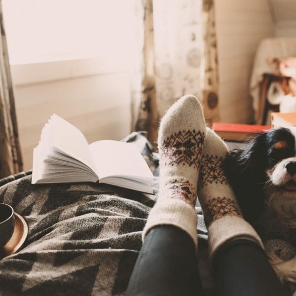 Cozy Thanksgiving scene