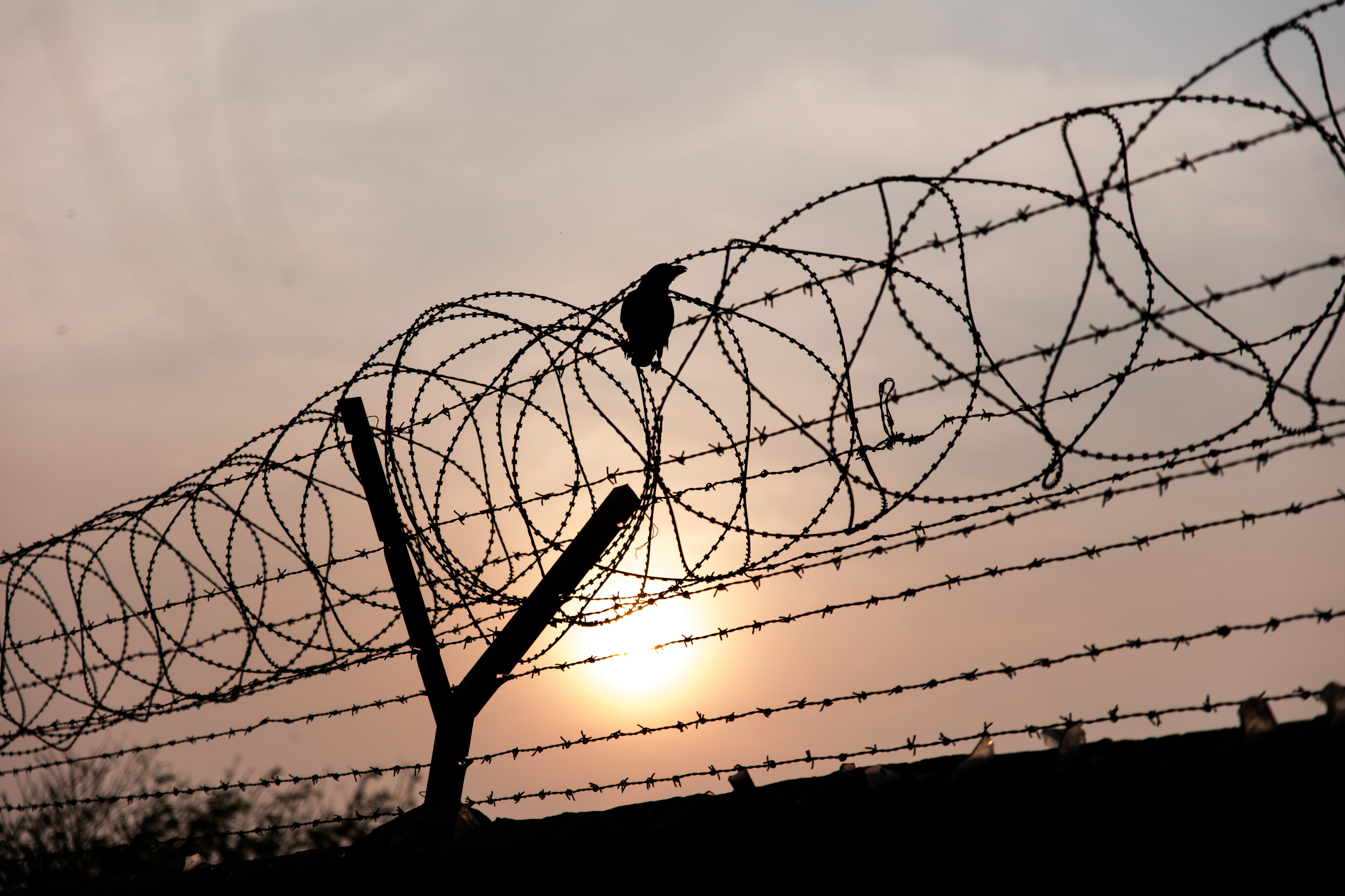 A barbed wire fence.