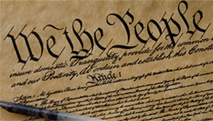 US Constitution - Immigration